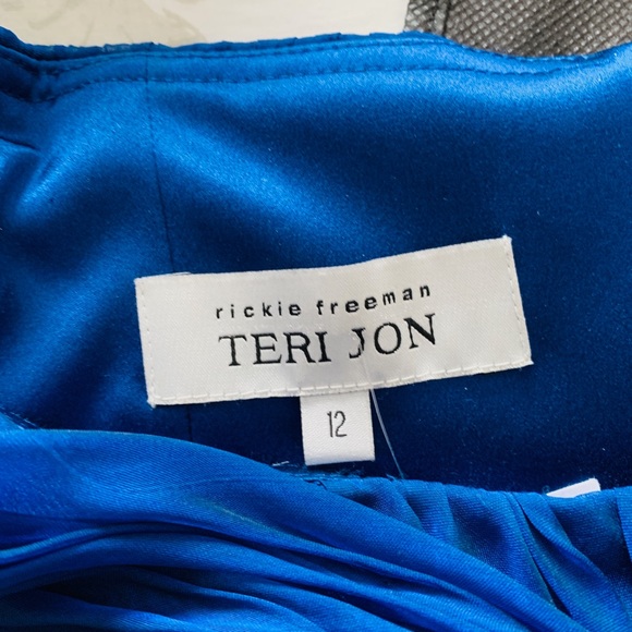 Sapphire Teri Jon by Rickie Freeman formal gown - Picture 7 of 9